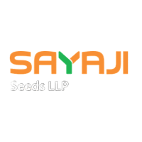 lsayajiiogo-Photoroom
